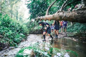 BIB: 
                            <button type="button" onclick="openModal(25451749)" class="btn btn-primary btn-sm float-right btn-popup" data-toggle="modal" data-target=".modal-high-quality">
                        <i class="fas fa-shopping-cart"></i> Add to Cart
                    </button>
                                            <button type="button" onclick="isThisMe(25451749, true)" class="btn btn-success btn-sm float-right btn-popup btn-isme hidden" data-toggle="tooltip" data-placement="bottom" title="นี่คือรูปของคุณใช่ไหม คลิกที่นี่เพื่อเอาเข้าอัลบั้ม">
                        <i class="fas fa-plus"></i> Add to album
                    </button>
                    <button type="button" onclick="isThisMe(25451749, false)" class="btn btn-warning btn-sm float-right btn-popup btn-isnotme hidden">
                        <i class="fas fa-ban"></i> Remove from album
                    </button>